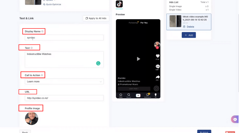 TikTok ads manager