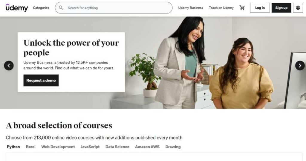 Udemy homepage (image)