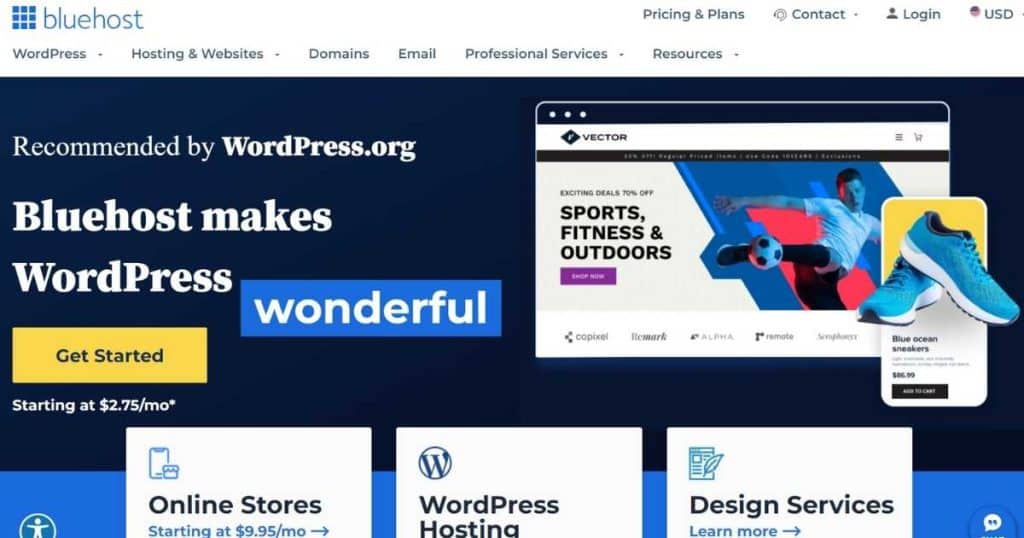 Bluehost homepage