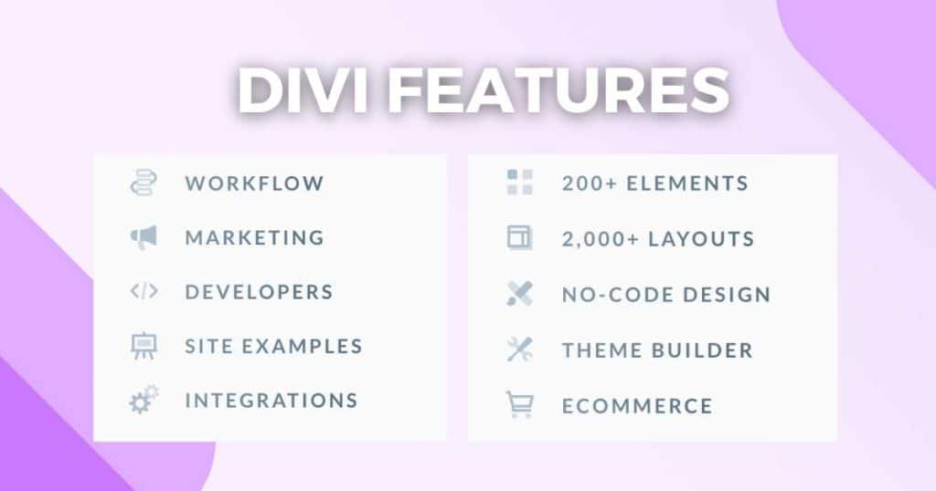 Divi Theme Features