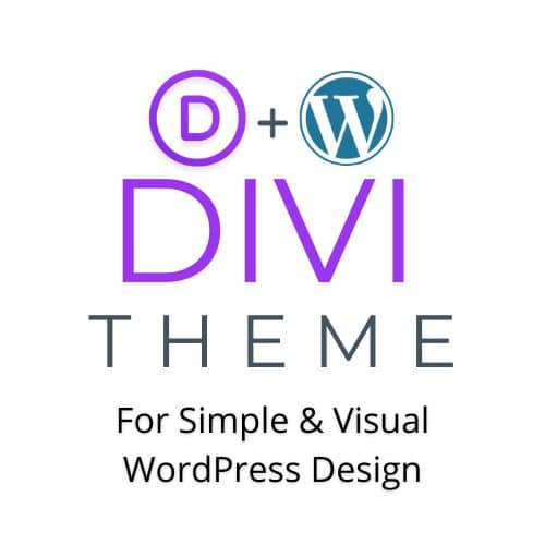 Divi theme for small business