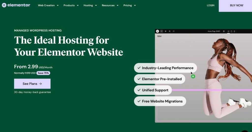 Elementor web hosting